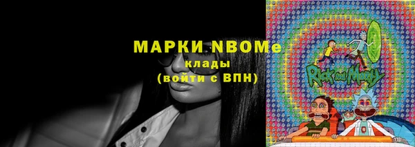 молекула духа Бронницы