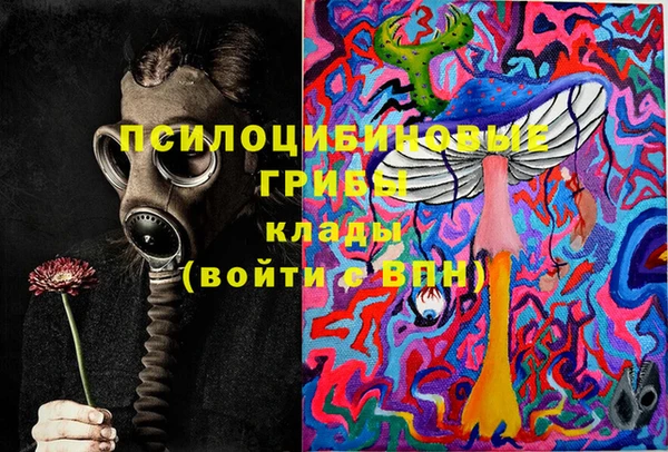 прущая мука Бородино