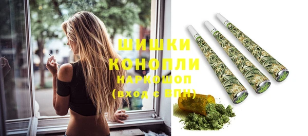 молекула духа Бронницы
