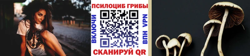 Купить закладки  Сурск  Галлюциногенные грибы Magic Shrooms 