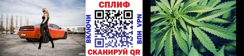 Купить закладки Сурск Шишки марихуана VHQ